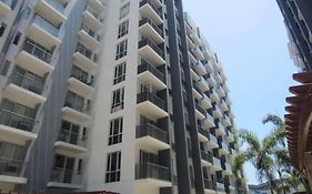 Palm Tree - Genlex Condominium